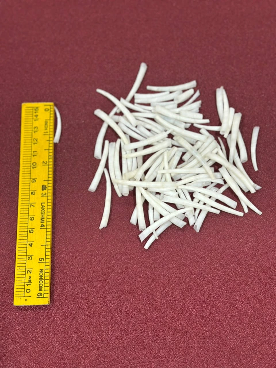 Dentalium Shells 1 to 1.5 inches product