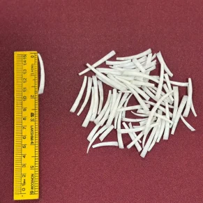 Dentalium Shells 1.75 to 2 inches