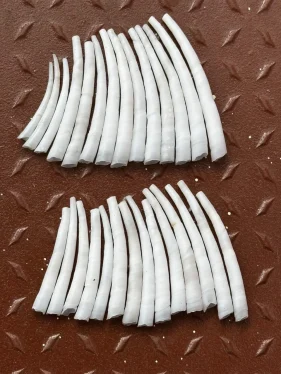 Dentalium SeaShells image