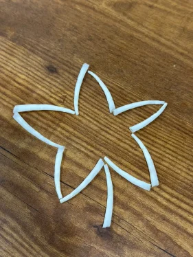 craft ideas dentalium shells