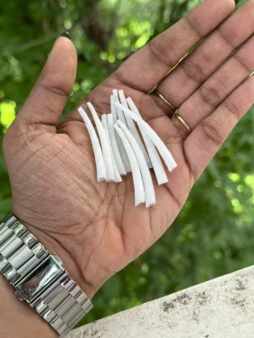 A hand holding white dentalium shells for eco friendly jewelry making