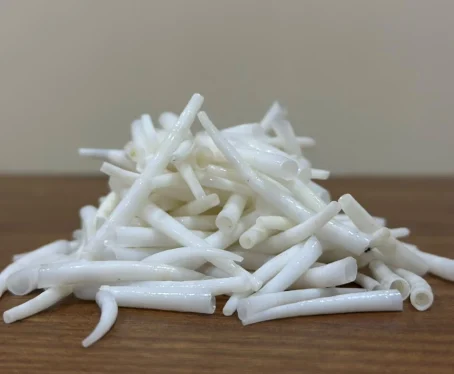 dentalium shells category