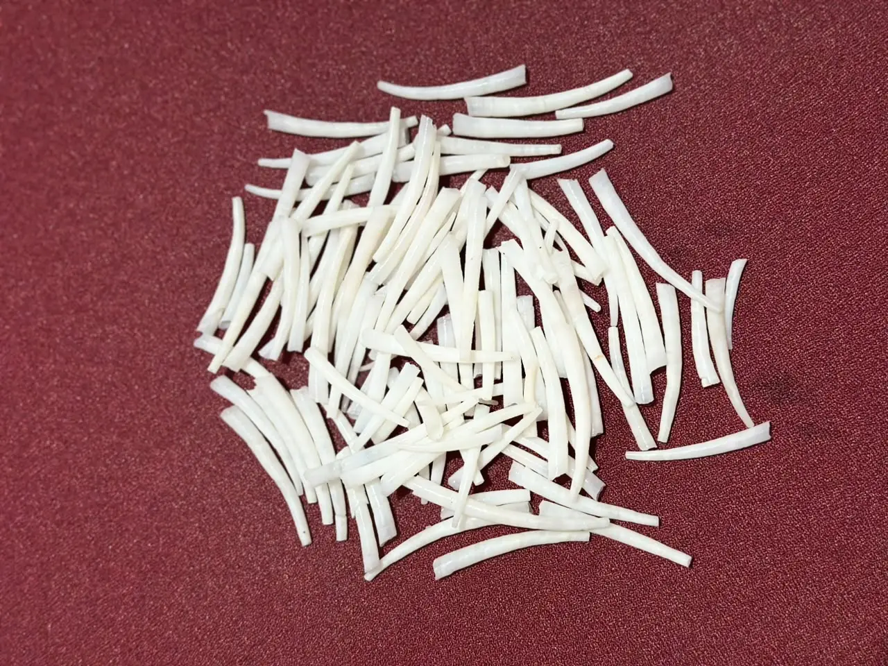 dentalium shells image 4